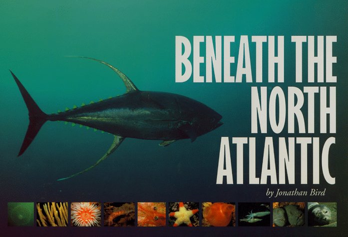 Beneath the North Atlantic
