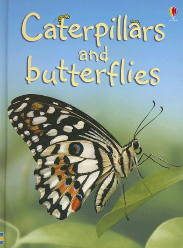 Caterpillars and Butterflies (Beginners Nature, Level 1)