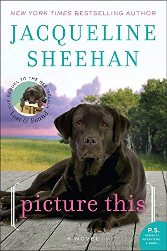 Picture This: A Novel