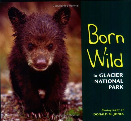 Born Wild in Glacier National Park