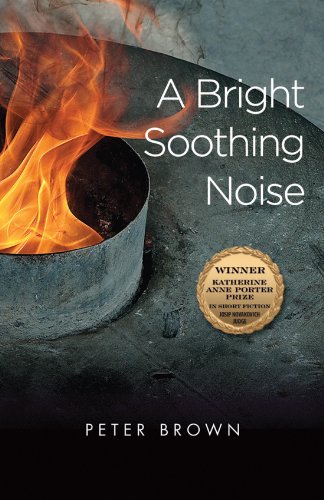 A Bright Soothing Noise (Katherine Anne Porter Prize in Short Fiction)