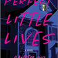 Perfect Little Lives: A Novel