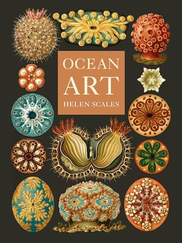 Ocean Art: From the Shore to the Deep