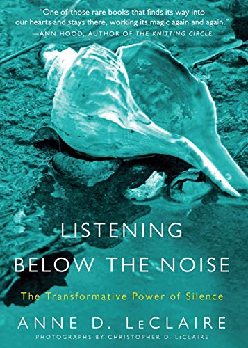 Listening Below the Noise: The Transformative Power of Silence