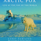 Arctic Fox: Life at the Top of the World