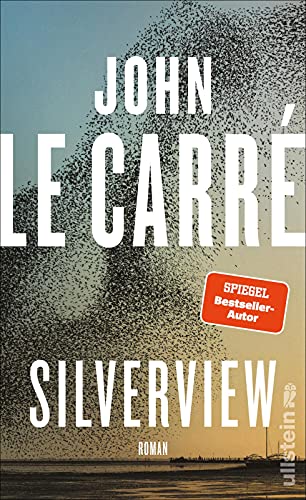 Silverview: Roman