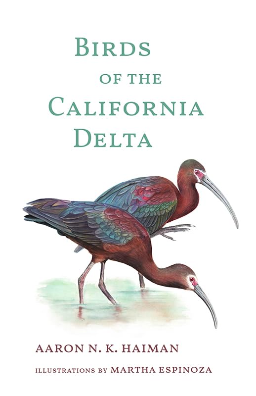 Birds of the California Delta (The Birds of California)