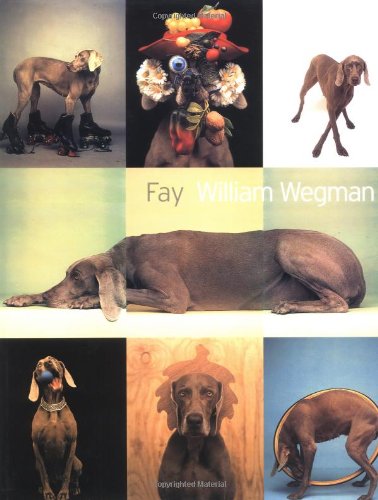 Fay (HYPERION)