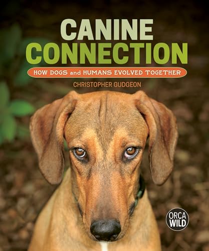 Canine Connection: How Dogs and Humans Evolved Together (Orca Wild, 18)