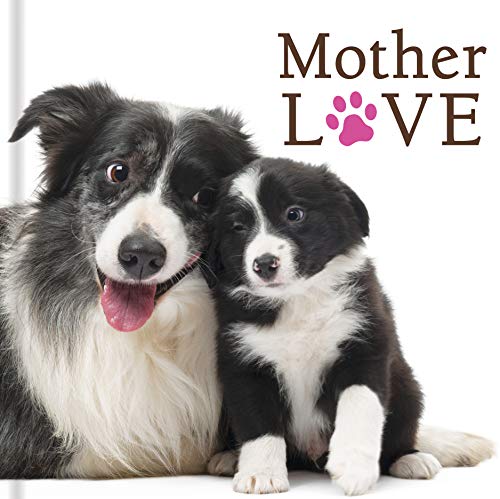 Mother Love (Dogs)