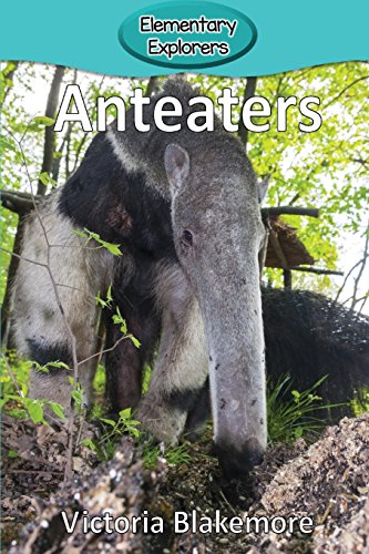 Anteaters (Elementary Explorers)