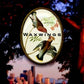 Waxwings: A novel