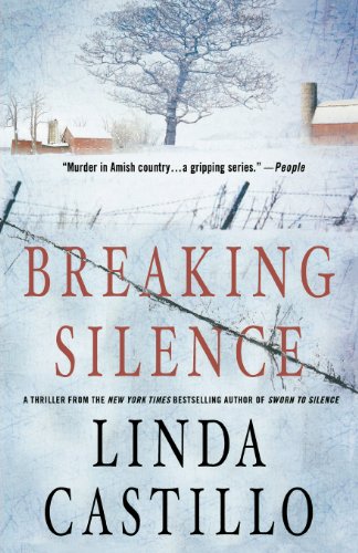 Breaking Silence (Kate Burkholder)