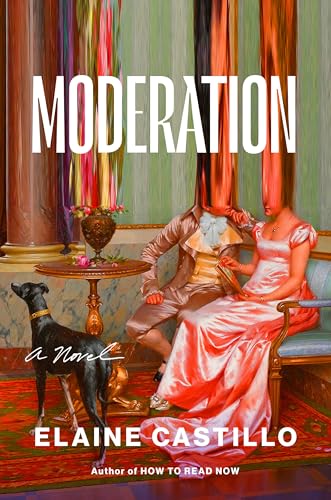 Moderation: A Novel