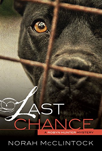 Last Chance (Robyn Hunter Mysteries)