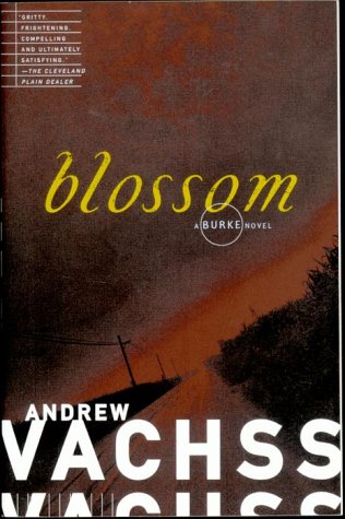 Blossom (Burke)