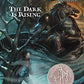 The Dark is Rising (The Dark is Rising Sequence)