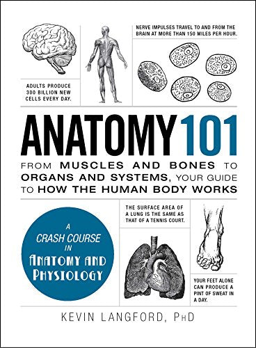 Anatomy 101: From Muscles and Bones to Organs and Systems, Your Guide to How the Human Body Works (Adams 101 Series)