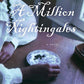 A Million Nightingales: A Novel