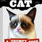 Grumpy Cat: A Grumpy Book