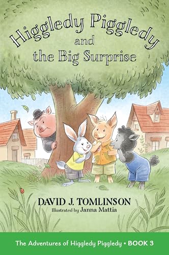 Higgledy Piggledy and the Big Surprise: The Adventures of Higgledy Piggledy Book 3 (Volume 3)
