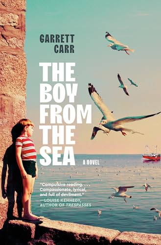 The Boy from the Sea: A Novel