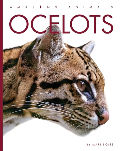Ocelots (Amazing Animals)