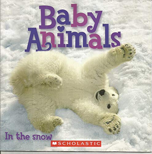 Baby Animals in the Snow
