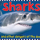Sharks: And Other Dangers of the Deep (Smart Kids)