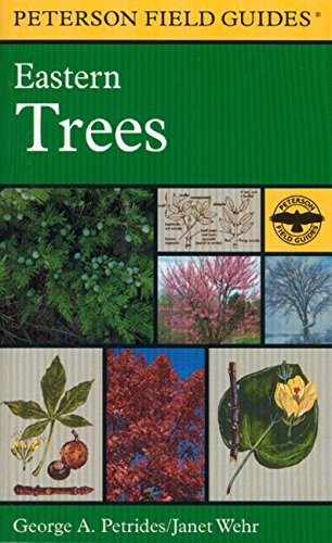 A Field Guide to Eastern Trees: Eastern United States and Canada, Including the Midwest (Peterson Field Guides)