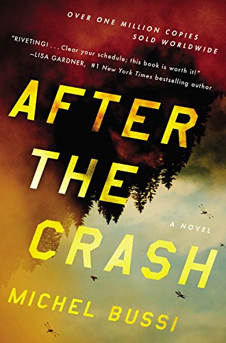 After the Crash: A Novel