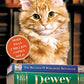 Dewey: The Small-Town Library Cat Who Touched the World