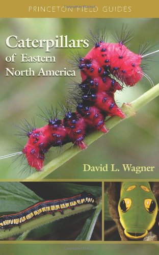 Caterpillars of Eastern North America: A Guide to Identification and Natural History (Princeton Field Guides)