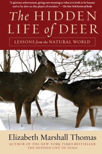 The Hidden Life of Deer: Lessons from the Natural World