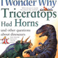 I Wonder Why Triceratops Had Horns: and Other Questions about Dinosaurs