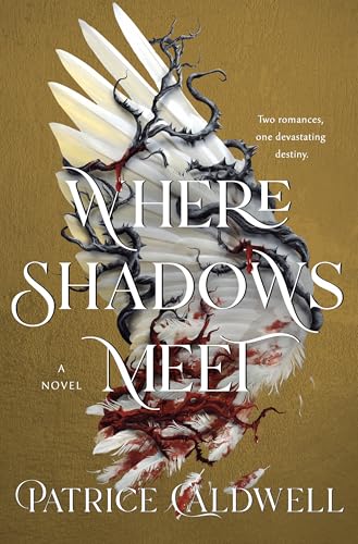 Where Shadows Meet: A Novel