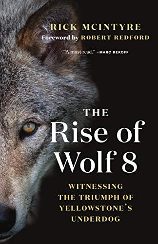 The Rise of Wolf 8: Witnessing the Triumph of Yellowstone's Underdog (The Alpha Wolves of Yellowstone, 1)