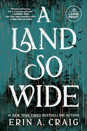 A Land So Wide: A Novel