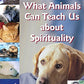 What Animals Can Teach Us About Spirituality: Inspiring Lessons from Wild and Tame Creatures