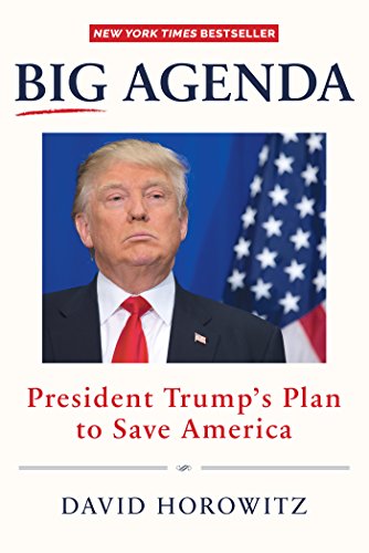 Big Agenda: President Trumps Plan to Save America