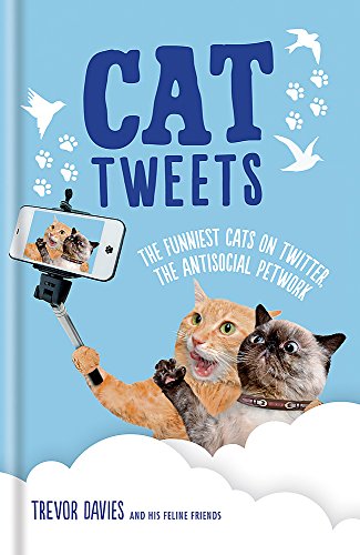 Cat Tweets