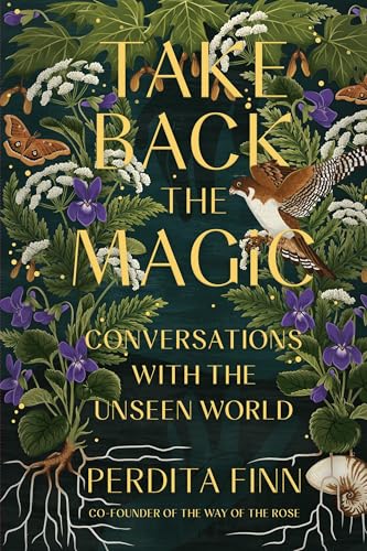 Take Back the Magic: Conversations with the Unseen World