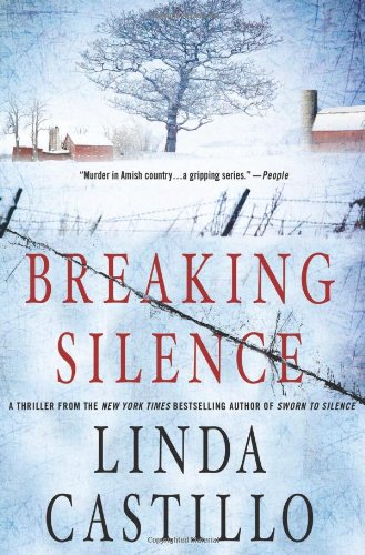 Breaking Silence (Kate Burkholder)
