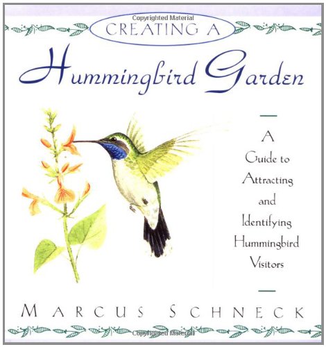 Creating a Hummingbird Garden