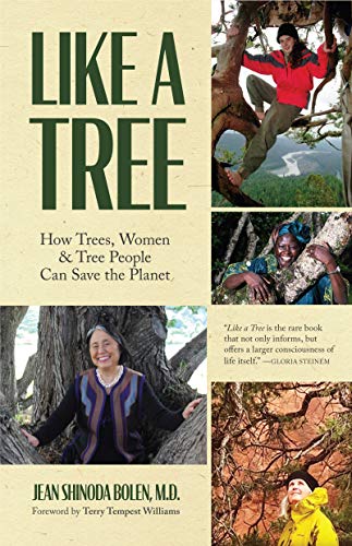 Like a Tree: How Trees, Women, and Tree People Can Save the Planet (Ecofeminism, Environmental Activism)