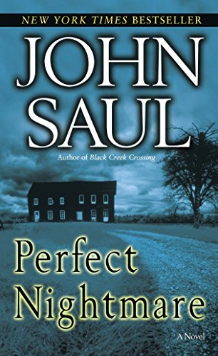 Perfect Nightmare: A Novel