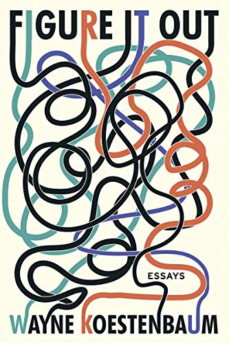 Figure It Out: Essays