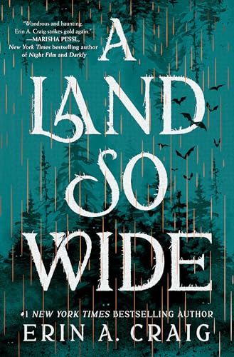 A Land So Wide: A Novel