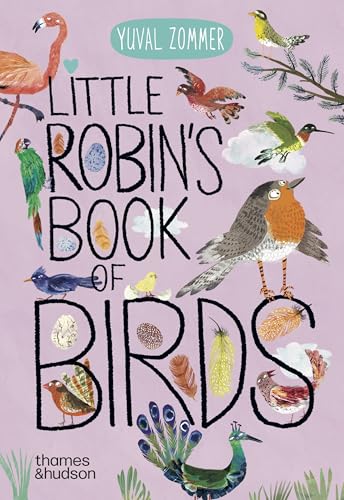 Little Robin's Book of Birds (The Big Book Series, 16)