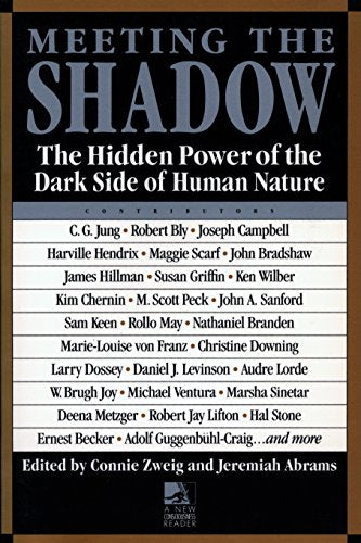 Meeting the Shadow (A New Consciousness Reader)